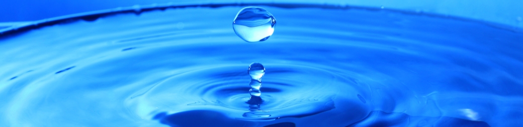 allnex Sponsors Wallingford Public Schools’ Water Festivals 