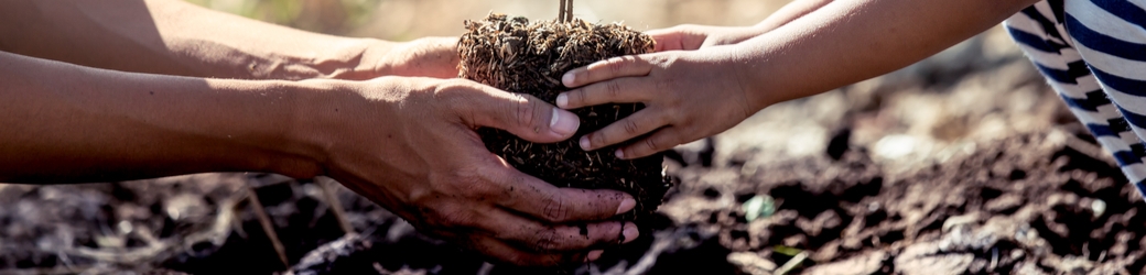 Small Changes Equal Big Energy Reduction for allnex Botany