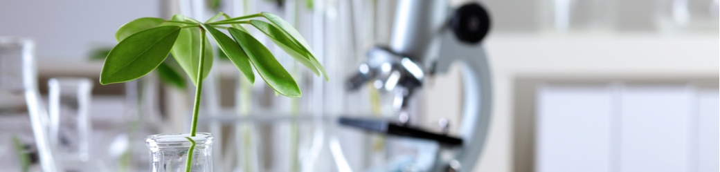 Wacol Delivers Exceptional Energy Management Results