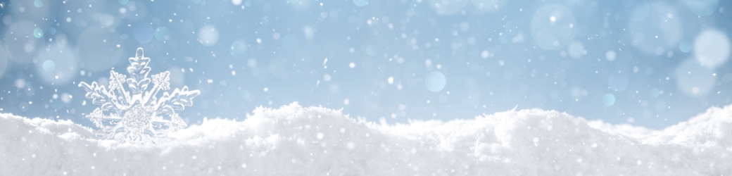 allnex Sites Give Back This Holiday Season