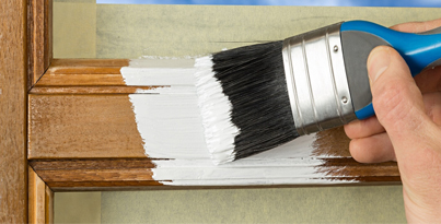 Life-proof paints for interior applications