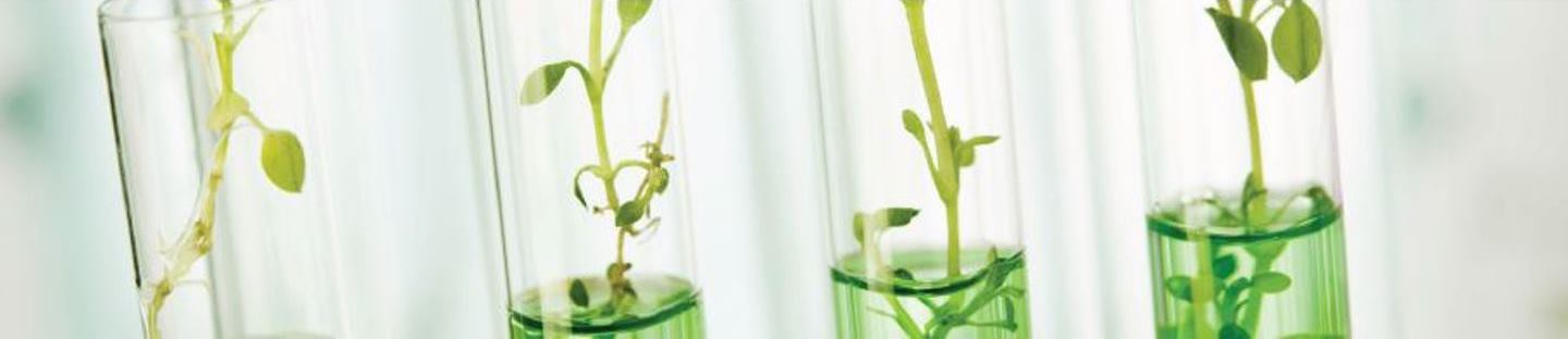 allnex - your partner to discuss innovative and green resin solutions at ECS 2019