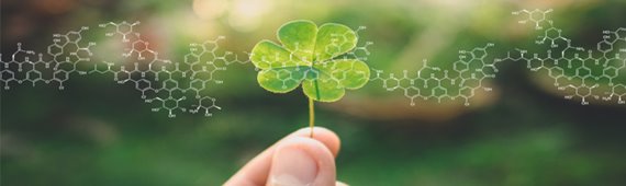 Aditivos petroquímicos