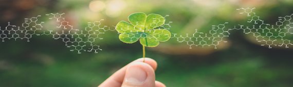 石油化学用添加剤